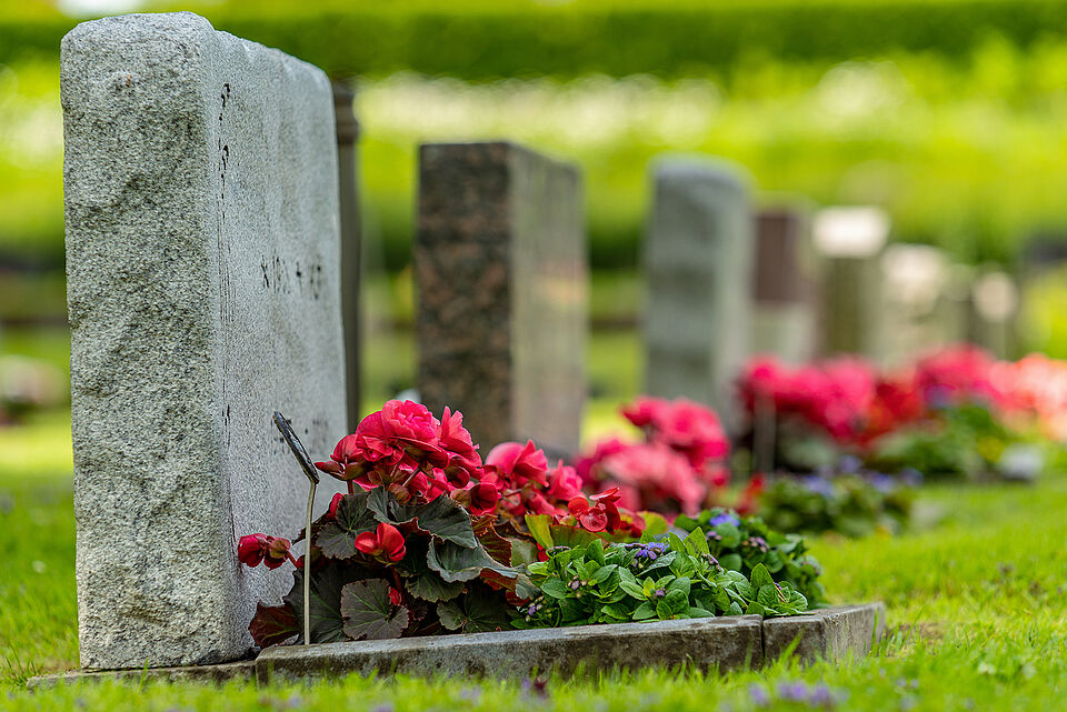 Erinnerungen lebendig halten, mit Gartenarbeit Trauer bewältigen Foto | BDB Grabbepflanzung | iStock