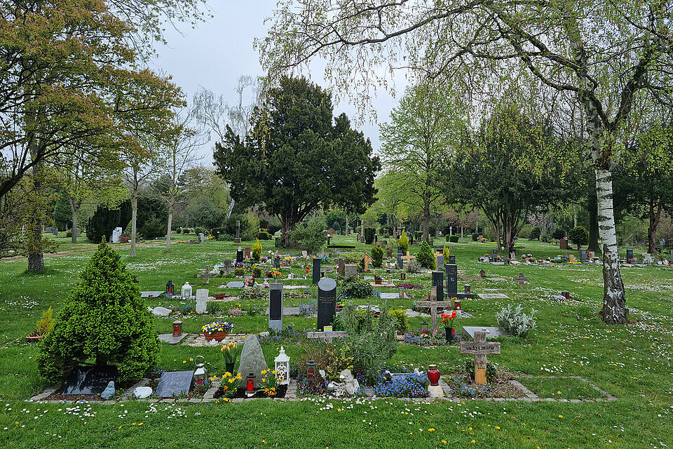 Foto | BDB Grabbepflanzung auf dem Friedhof Foto | BDB Grabbepflanzung auf dem Friedhof